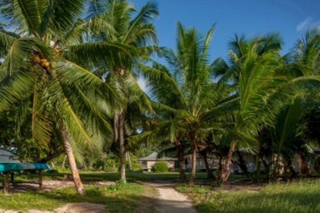 อิล เด ปาล์ม อีโค รีสอร์ต Hotel Anse la blague ภายนอก รูปภาพ